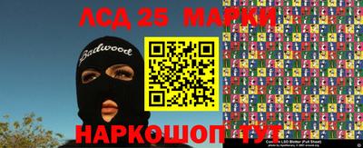 индика Гагарин