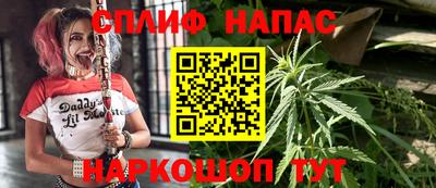 индика Гагарин