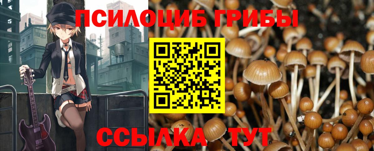 Мурманск  Псилоцибиновые грибы Psilocybine cubensis  Псилоцибиновые грибы Psilocybe  Вход с VPN 